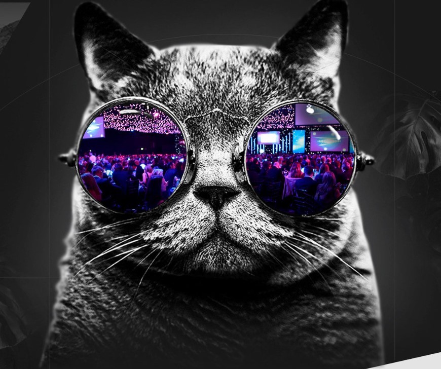 Skela logo by xchange design studio