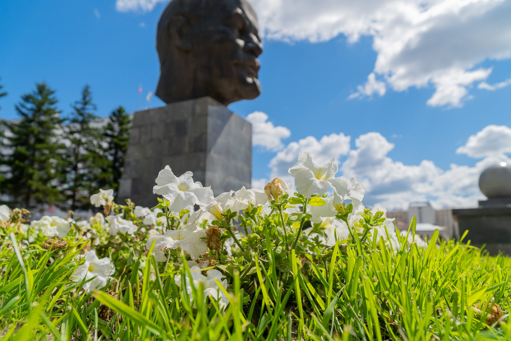 Главная страница | Городское лесничество Улан-Удэ