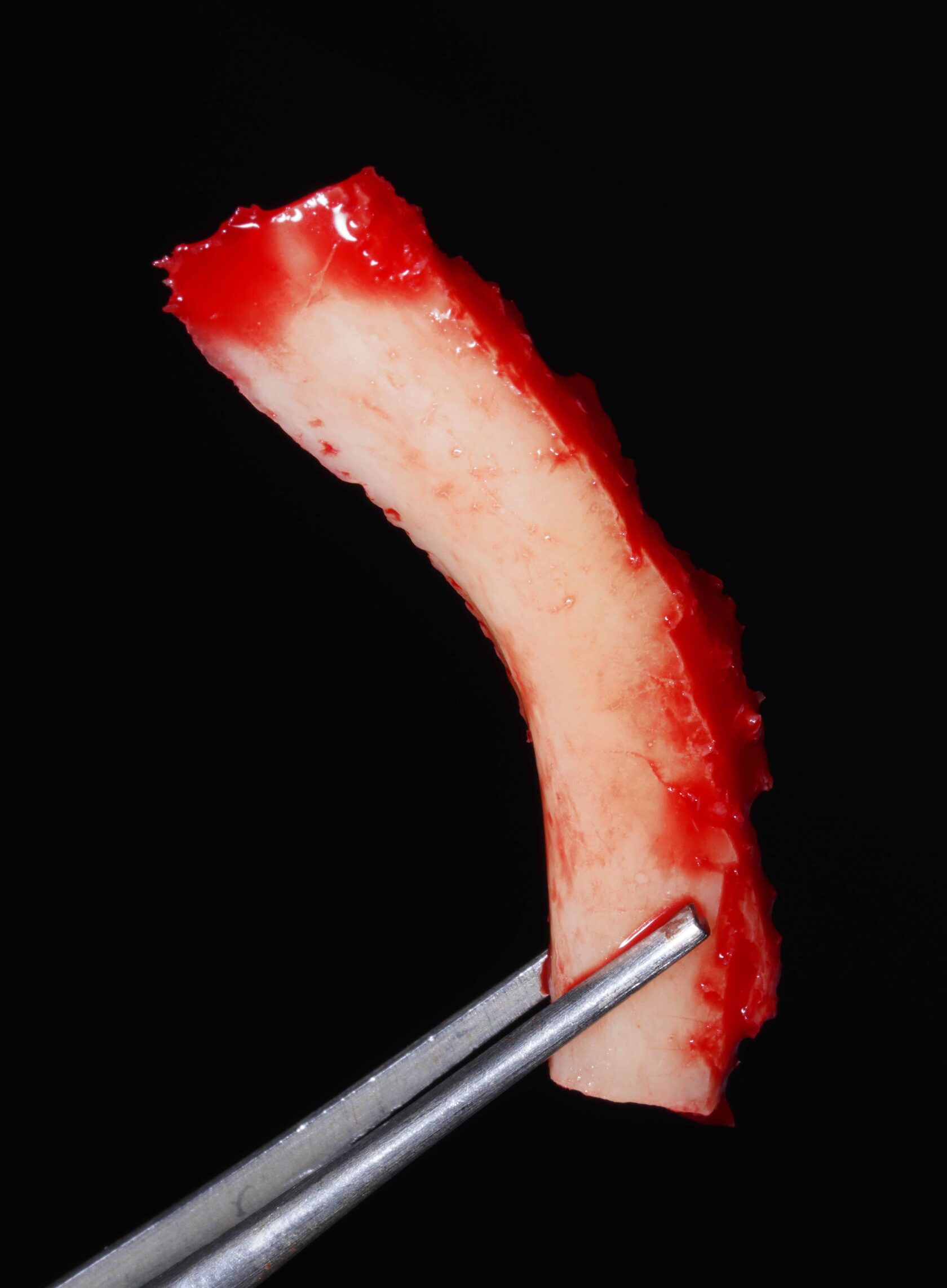 Фото с конференции 