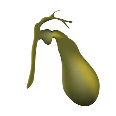 Боли в желчном пузыре