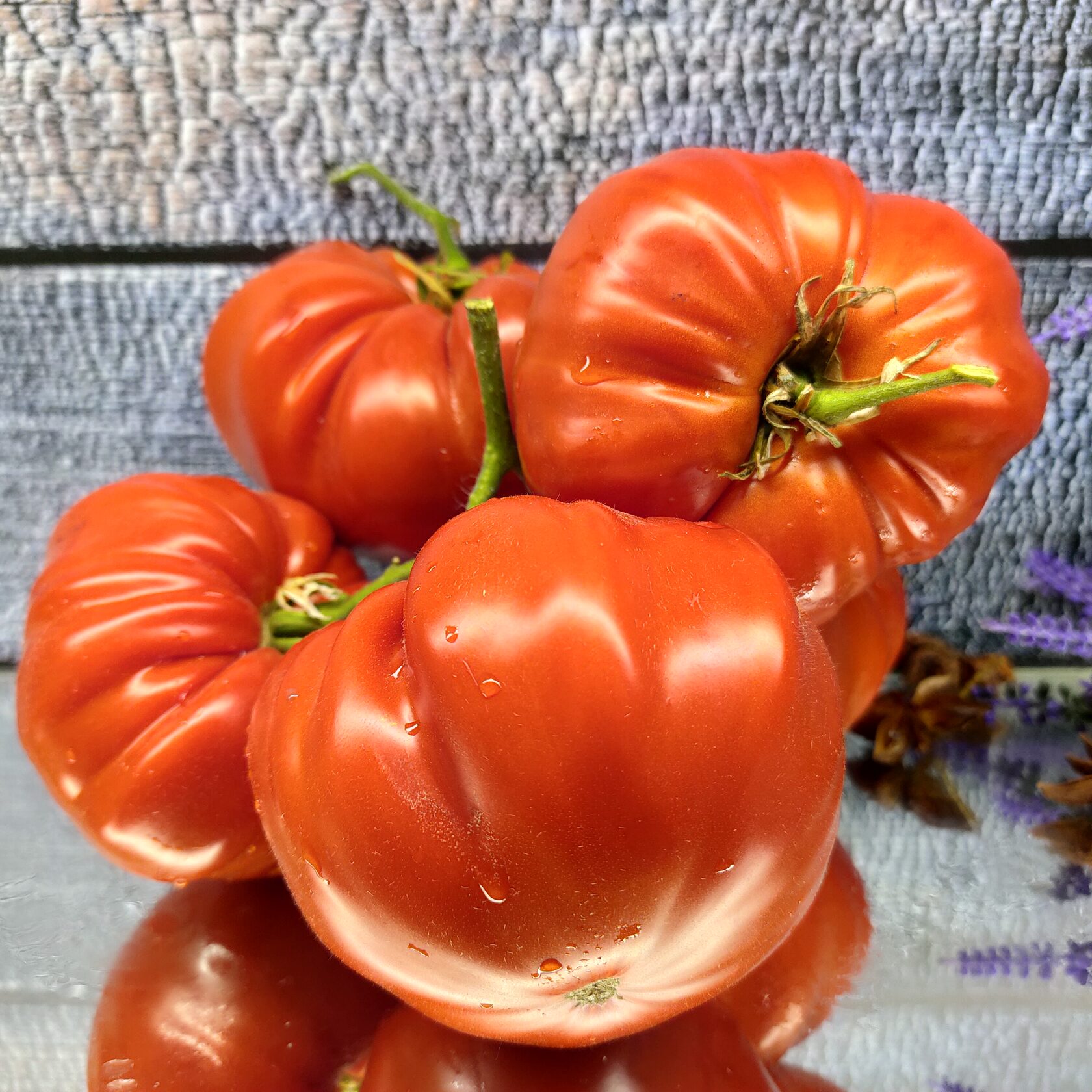 Sicilian Saucer (Сицилийская тарелка)