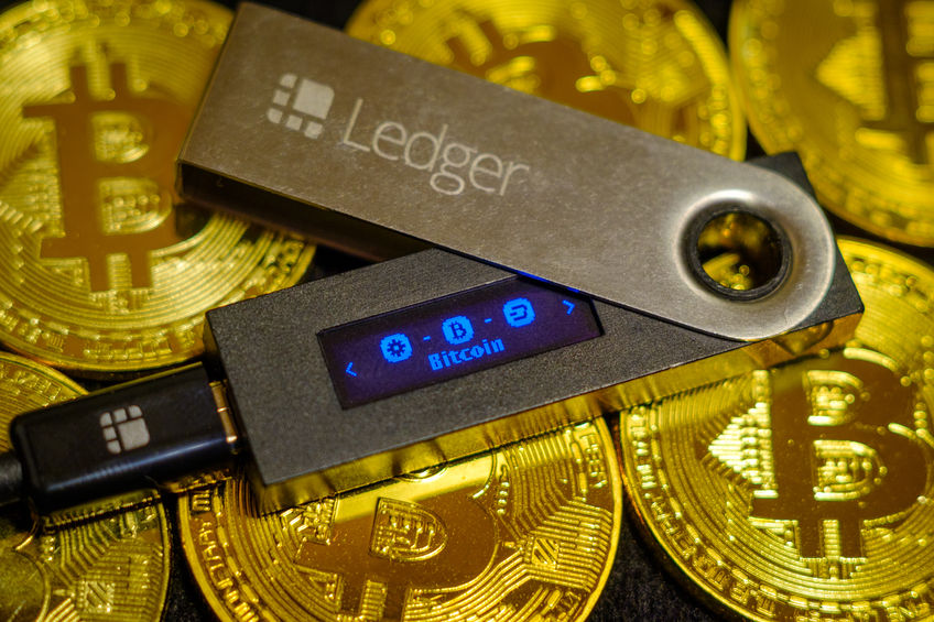 Ledger заказать