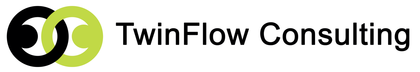  Twin Flow Consulting 