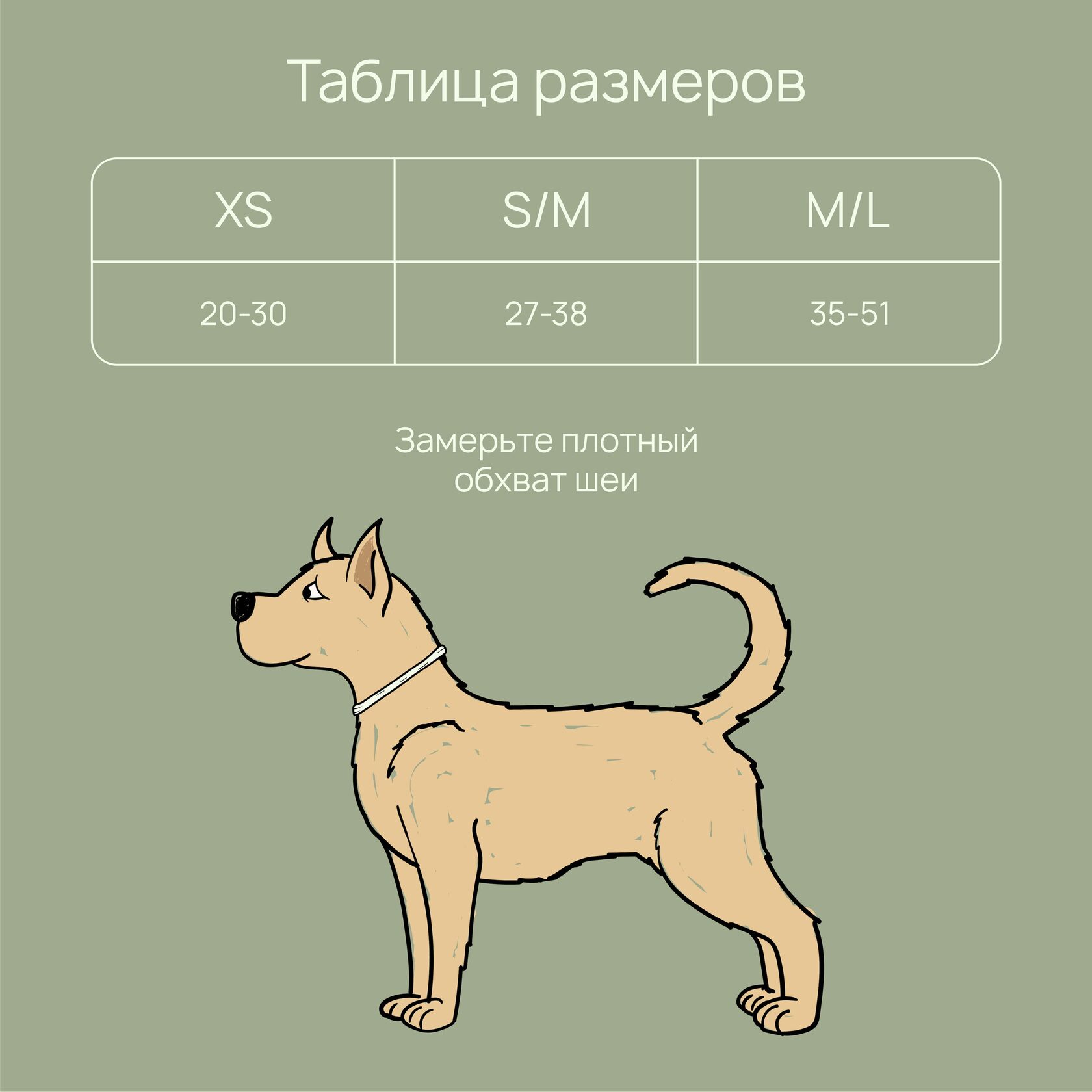 лимфоузлы собак размеры