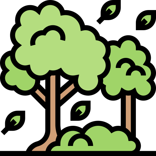 Организация праздников