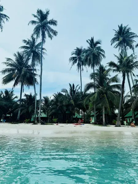Высокие пальмы над пляжем Ко Куда, зелёные бунгало у прозрачной воды