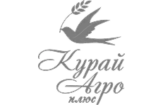 Логотип Апельсин