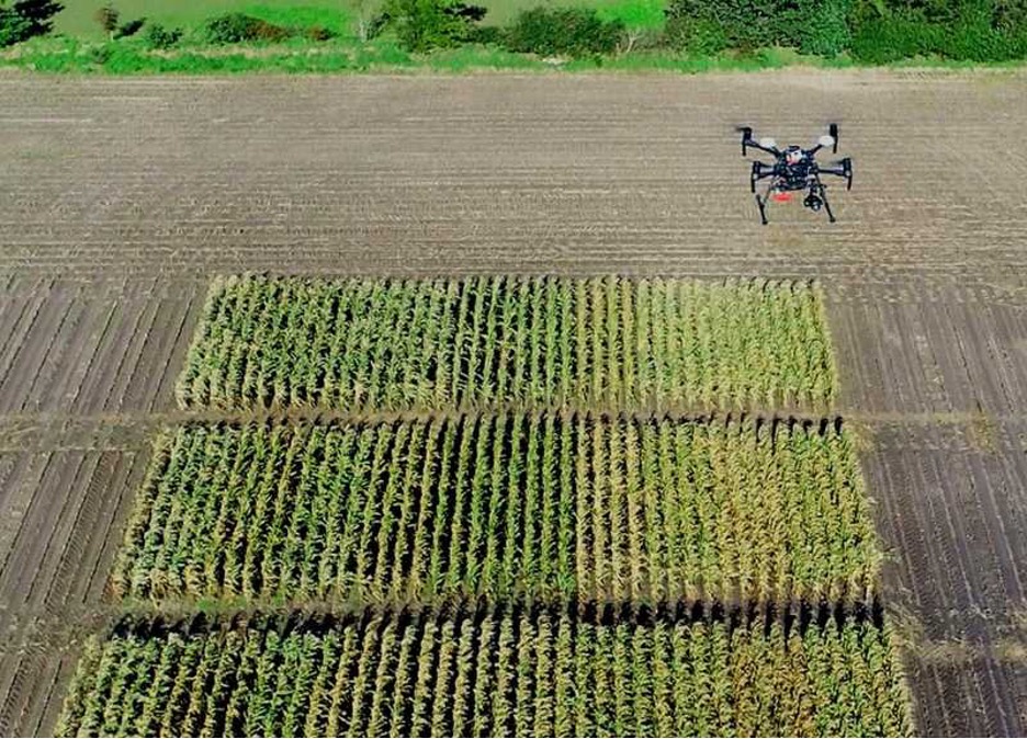 drone over field trial