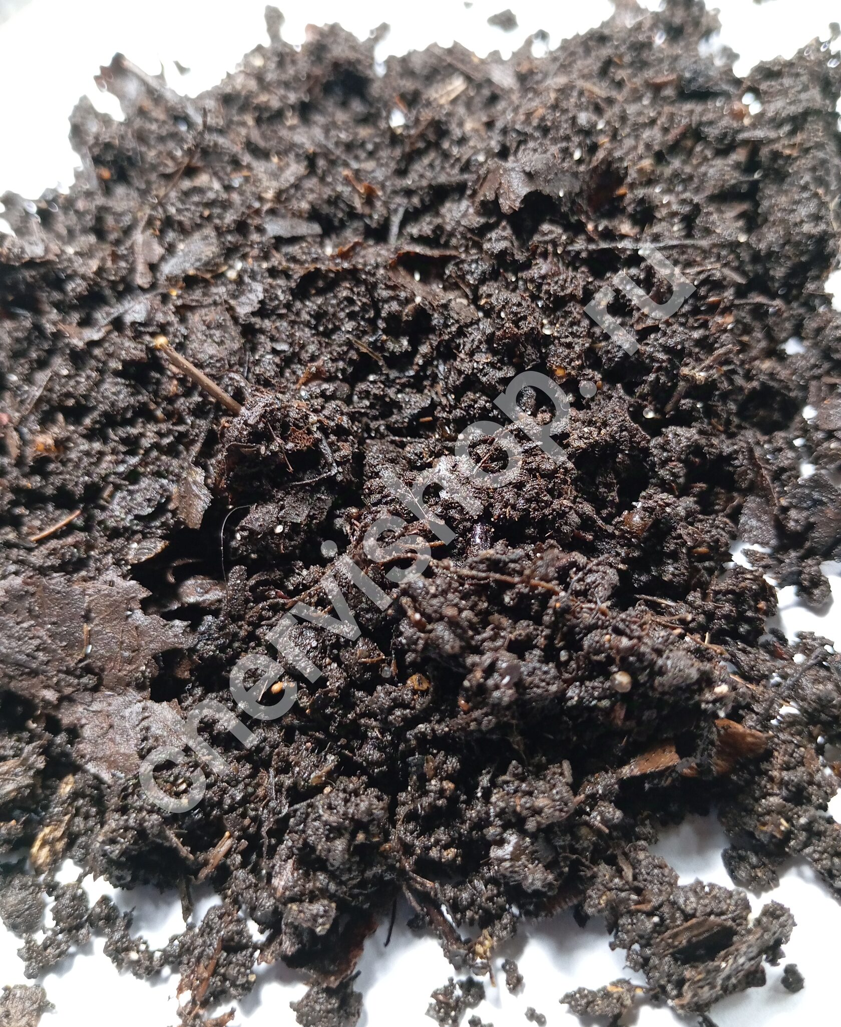 Садовая земля для рассады