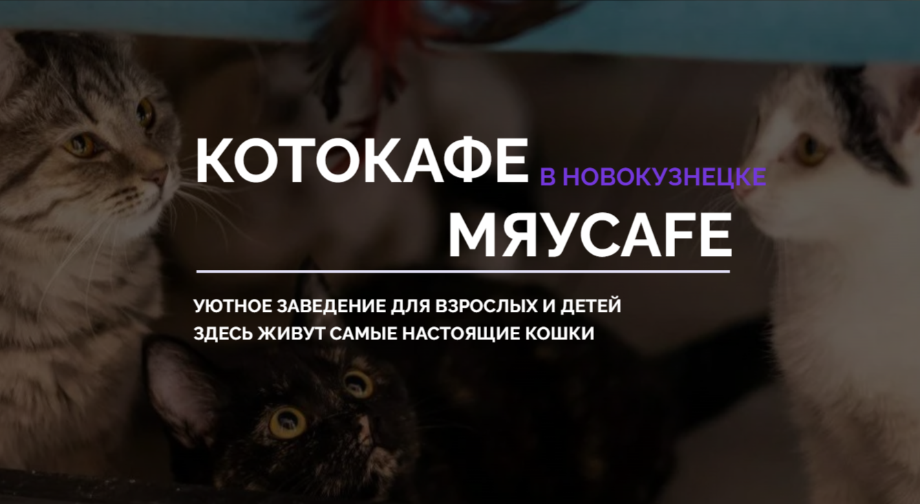 Котокафе Мяуcafe в Новокузнецке