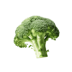 Broccoli