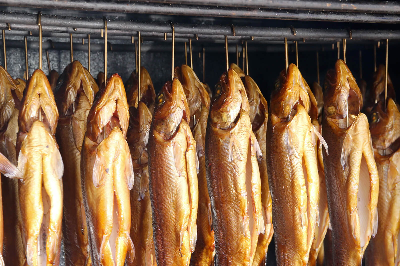 Подробный рецепт холодного копчения рыбы для новичков
