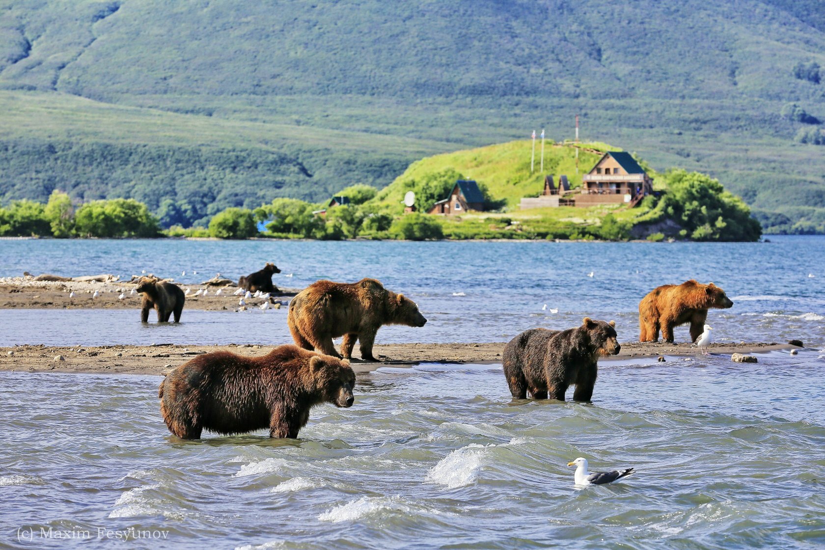 Камчатский край туристы