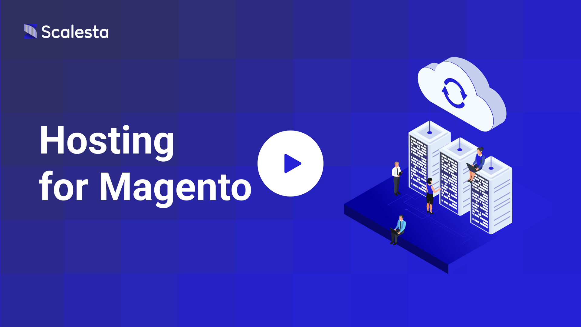 Magento Cloud Hosting Best Managed Web Hosting Scalesta