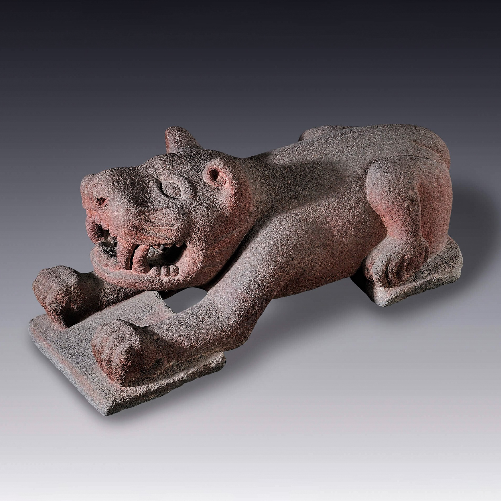 Хищная кошка. Мезоамерика, 1345-1521 гг. н.э. Коллекция Museo Amparo, Puebla.