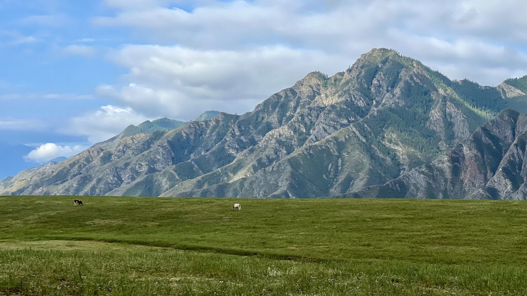 Долина реки Катунь, Алтай