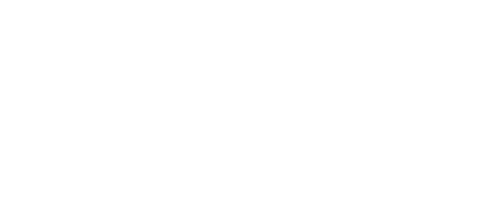 Your Company