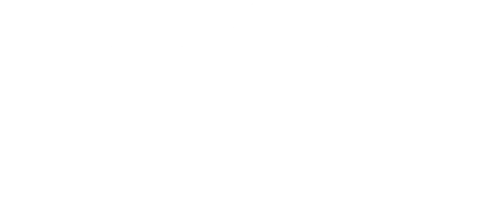 cyber
