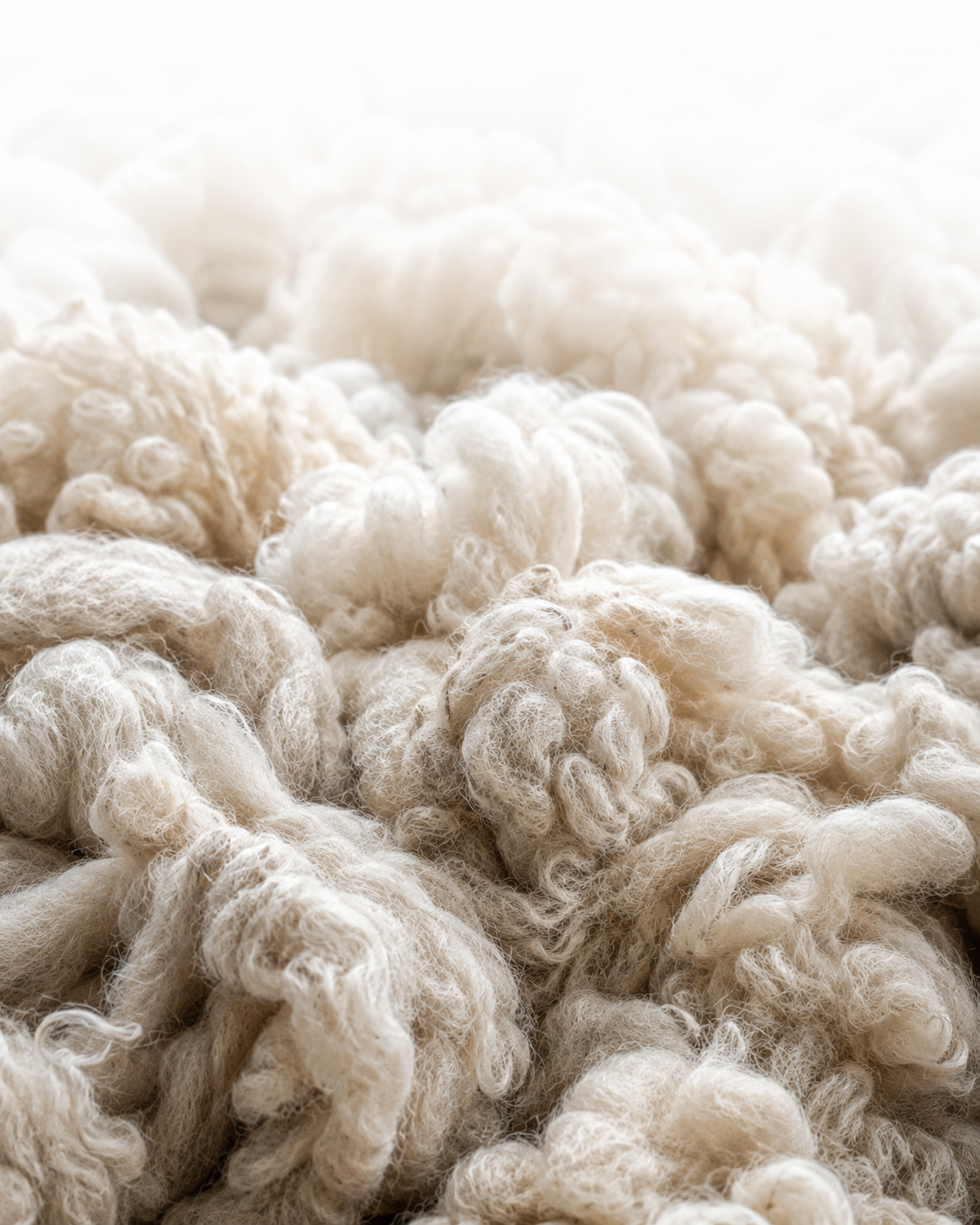 Natural sheep wool