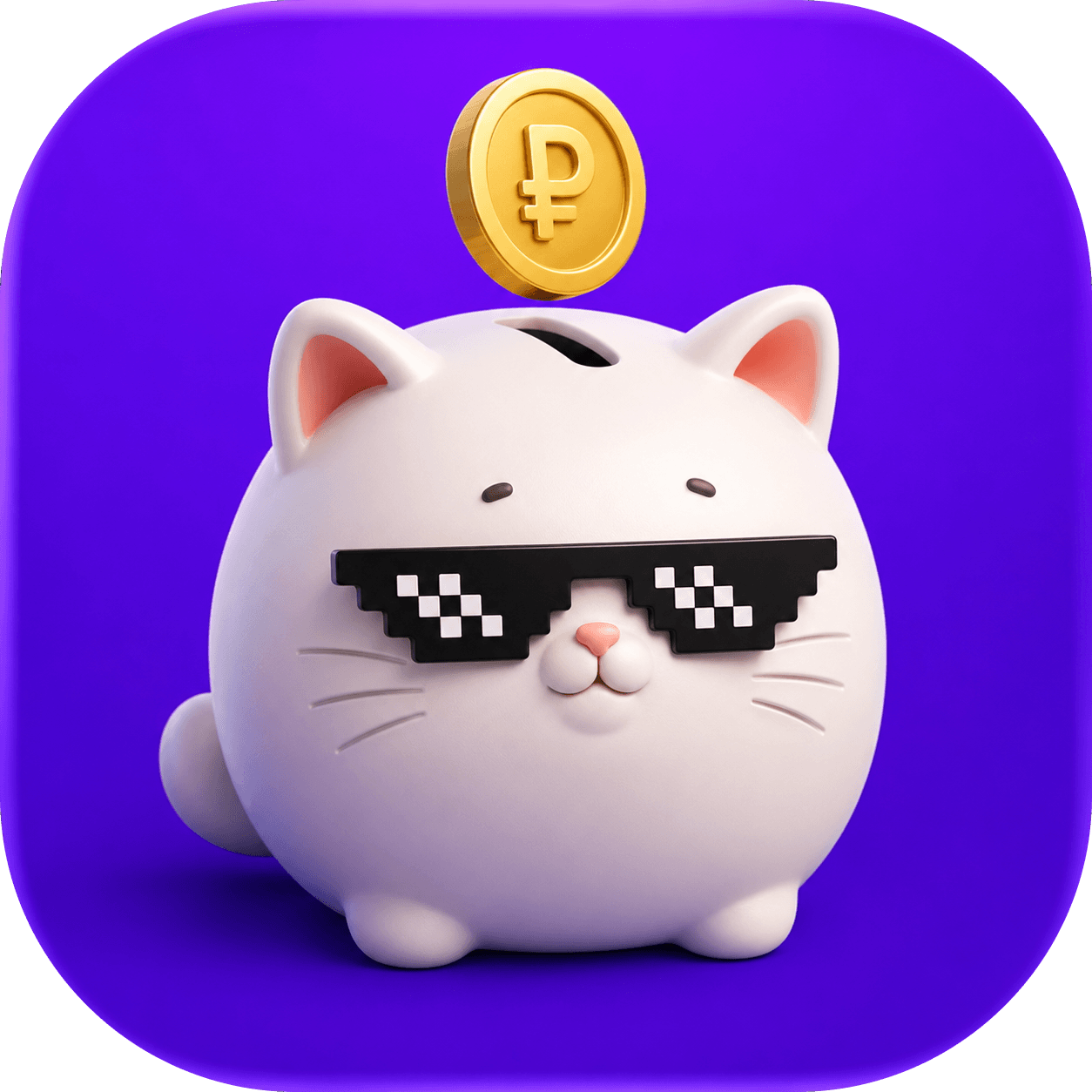 Money Budget icon