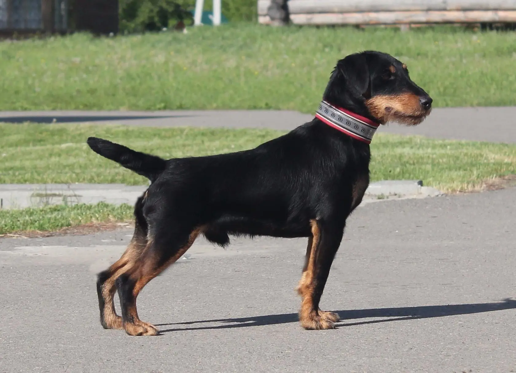 Локти вывернуты наружу из-за округлых ребер.