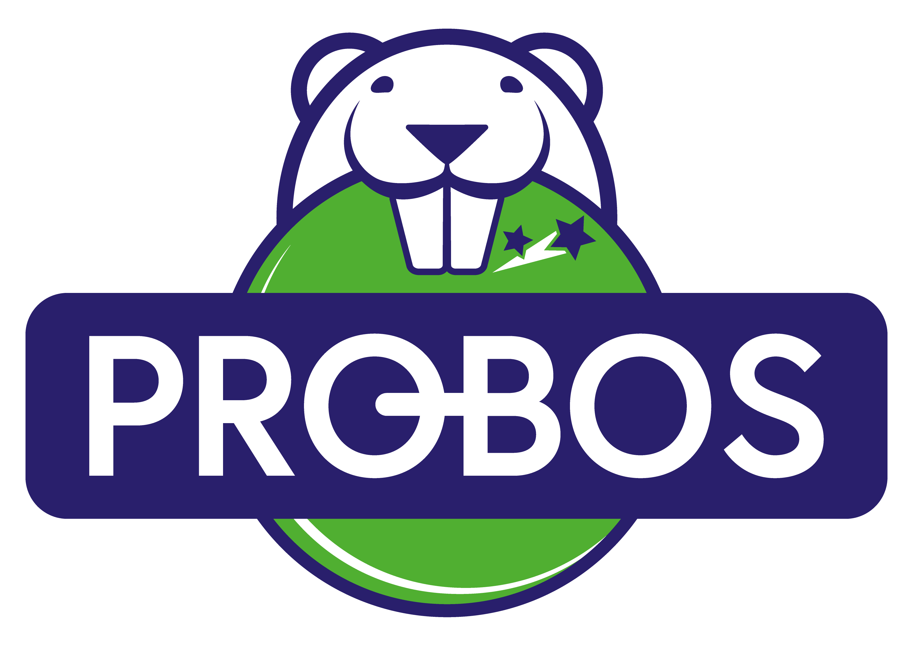 Протирочный материал&nbsp; PROBOS