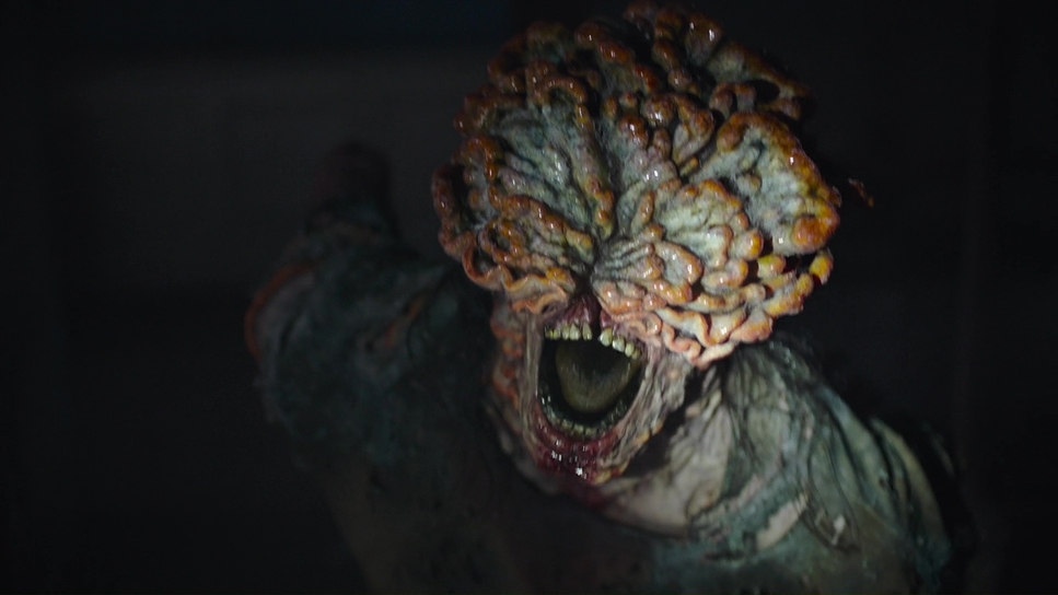 The Last of Us, still.