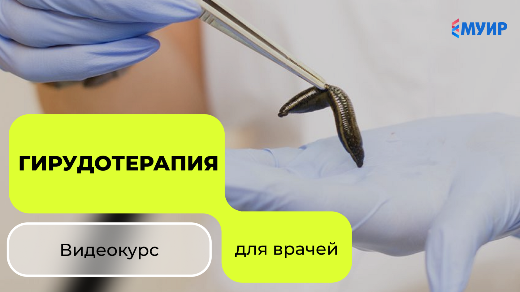 Гирудотерапия Profi