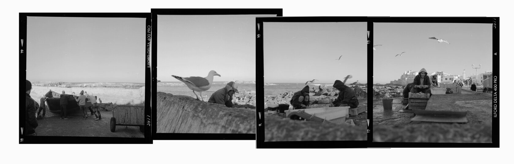 A fish cleaner on the embankment. Essaouira. Morocco. BW negative 6x6
