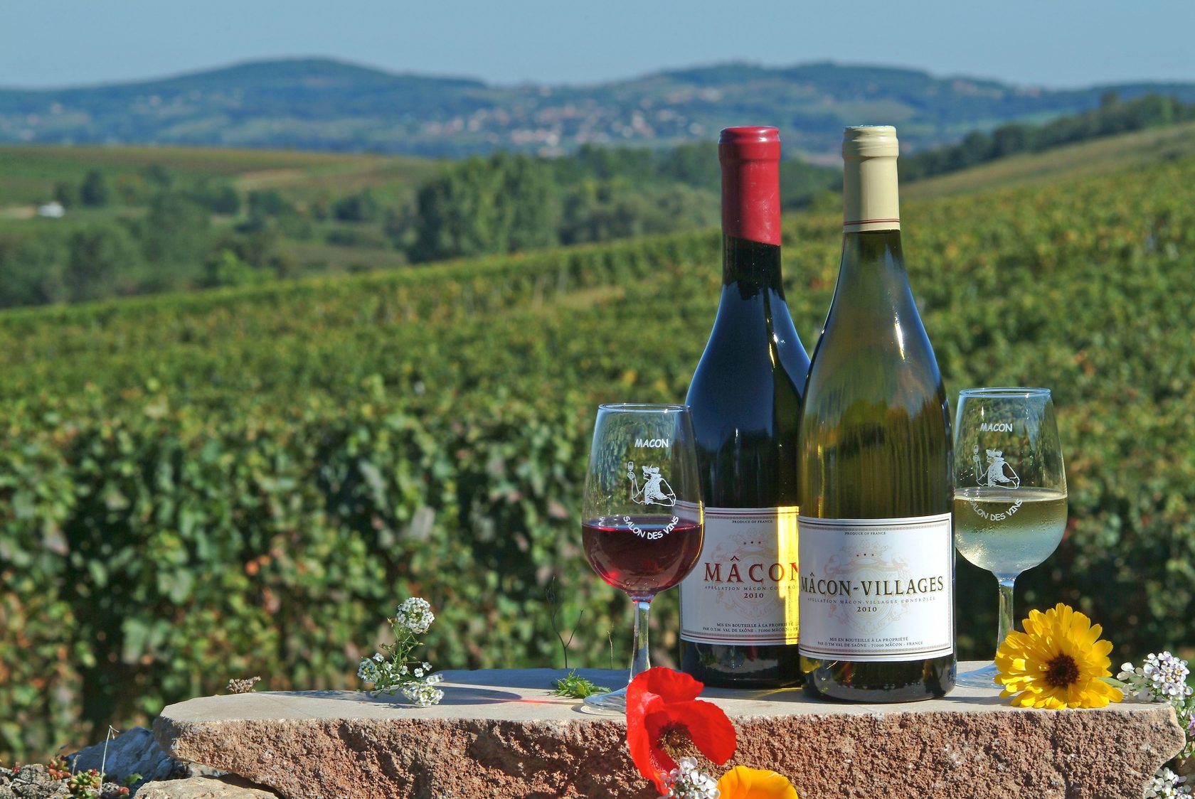 Вина г. Бургундия вино. Франция бордо Шато винодельня. Вино Франция Бургундия. Долина винодельческая во Франции.