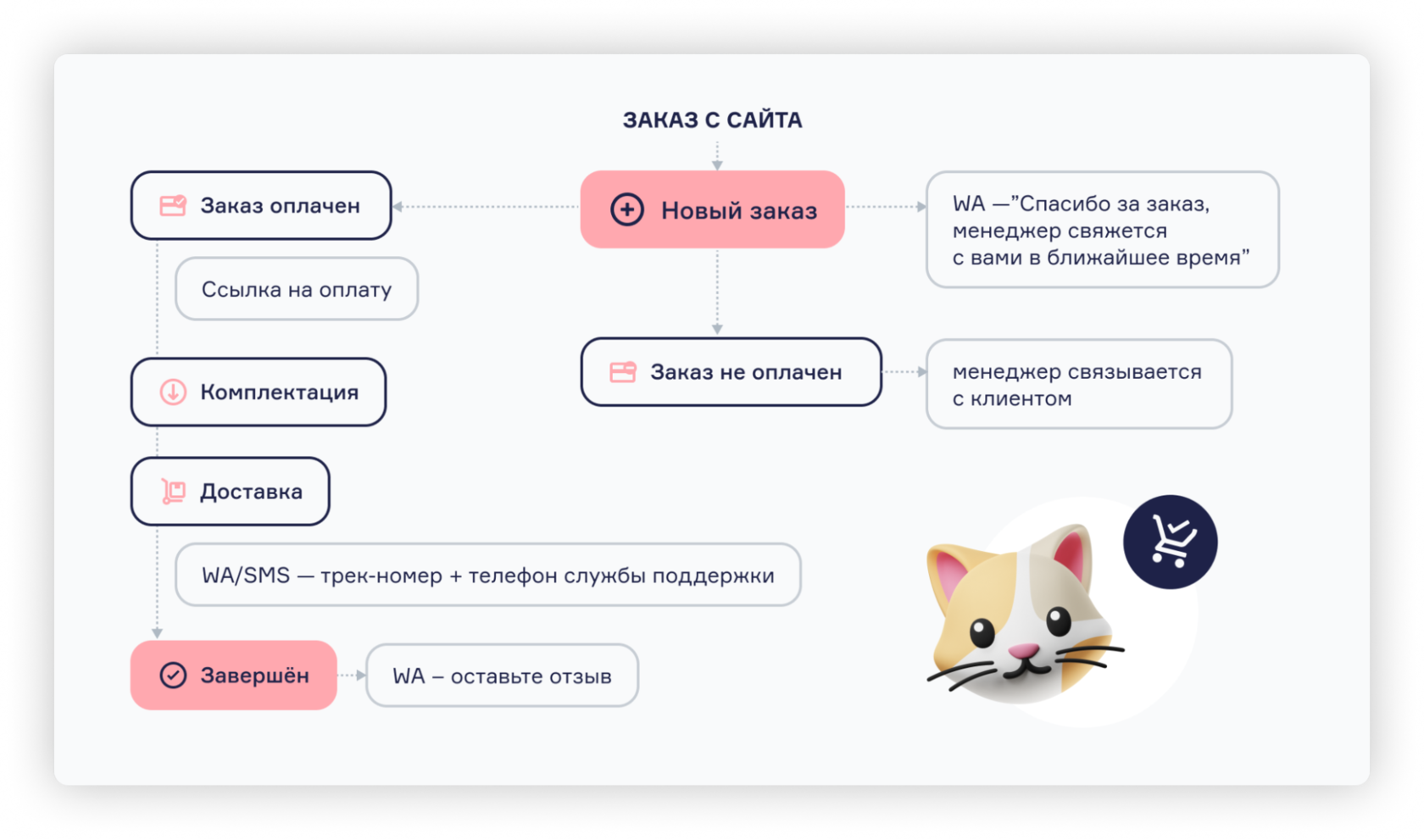 Кейс Catsby Family: «От нуля до 20 млн в первый год работы вместе с  RetailCRM»