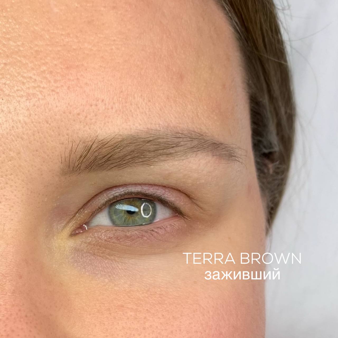 TERRA BROWN + BRONZA 2
