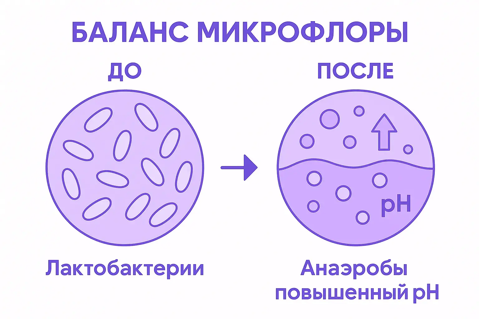Баланс микрофлоры влагалища