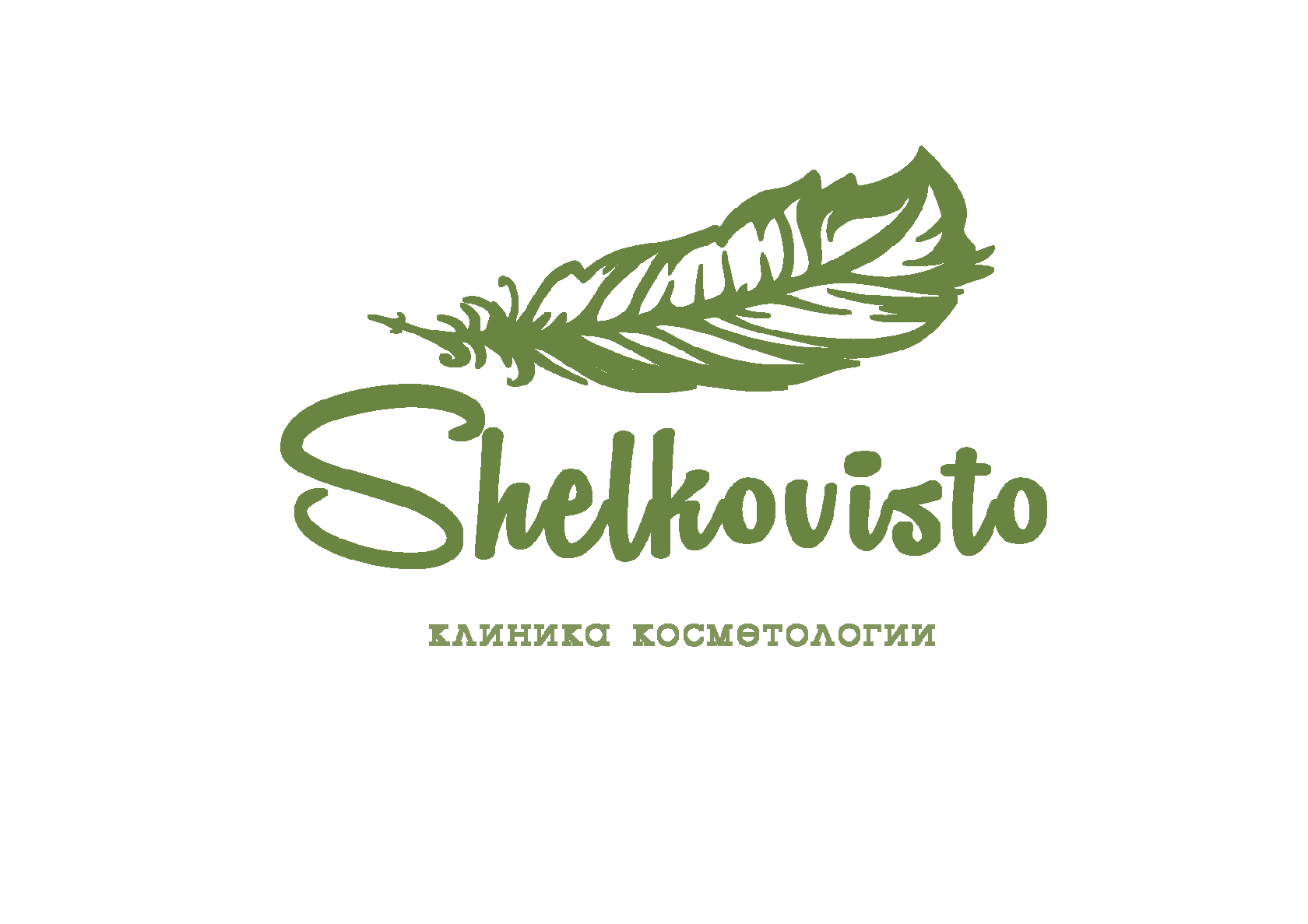 Shelkovisto