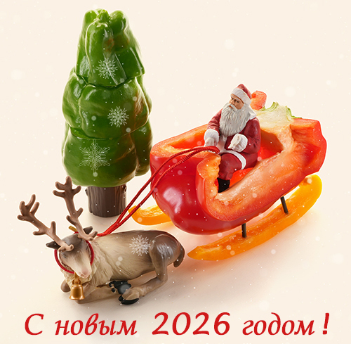 новый год 2026