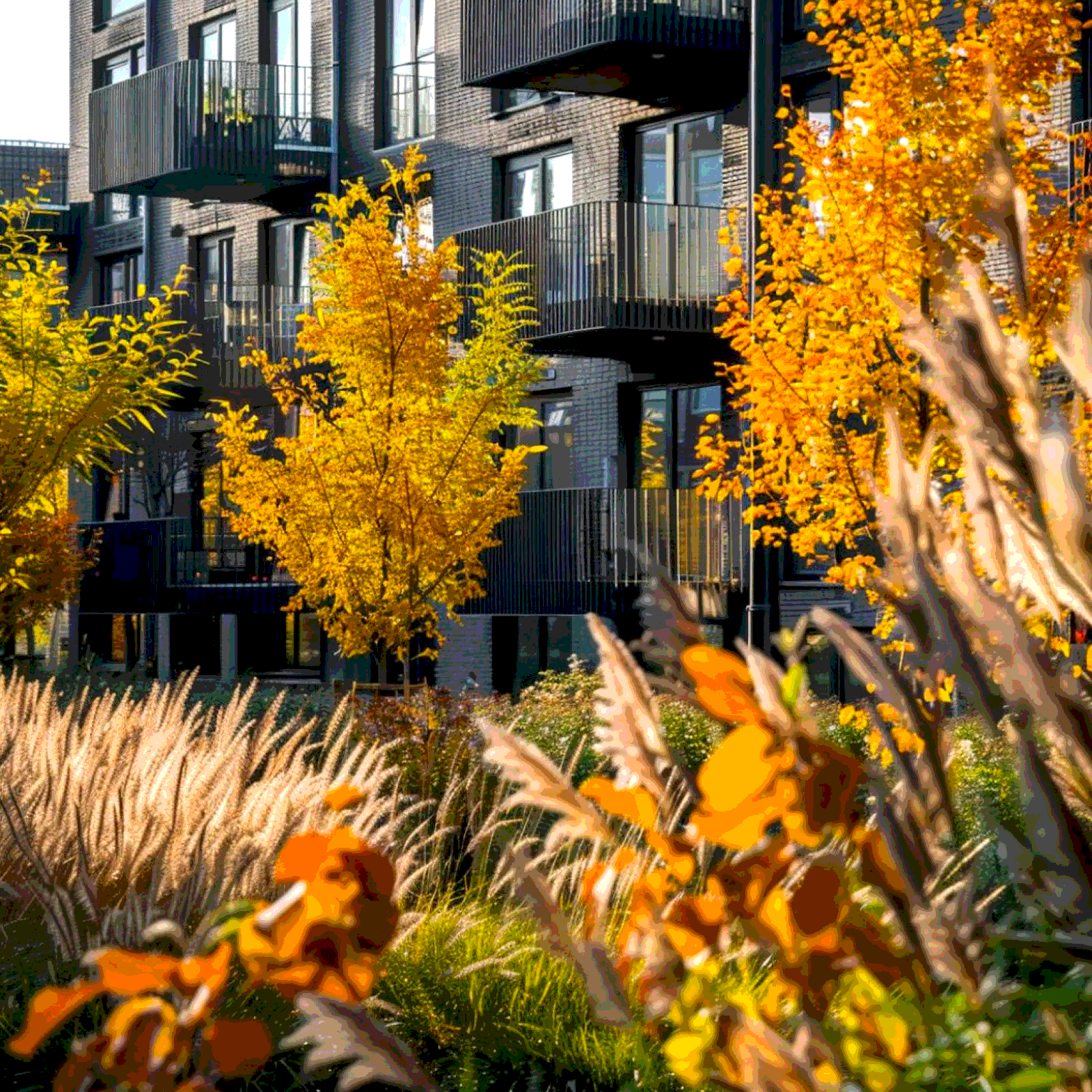 «Организовать пространство для души может только человек»: Иван Шаферов — о влиянии нейросетей на ландшафтный дизайн (фото 5)