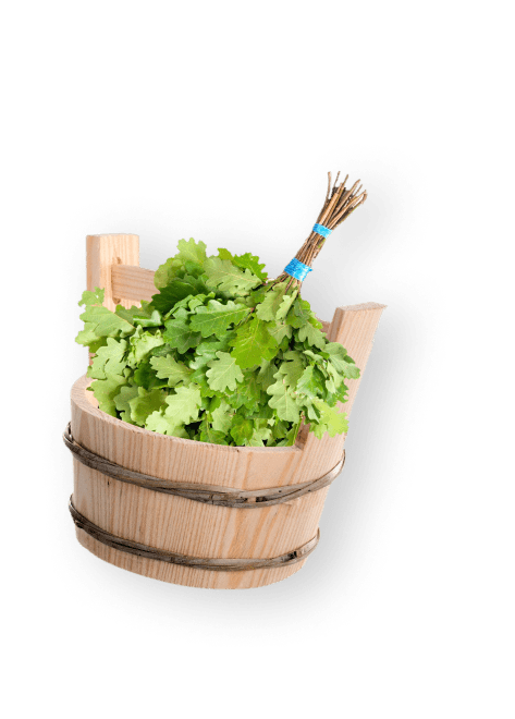 банный веник