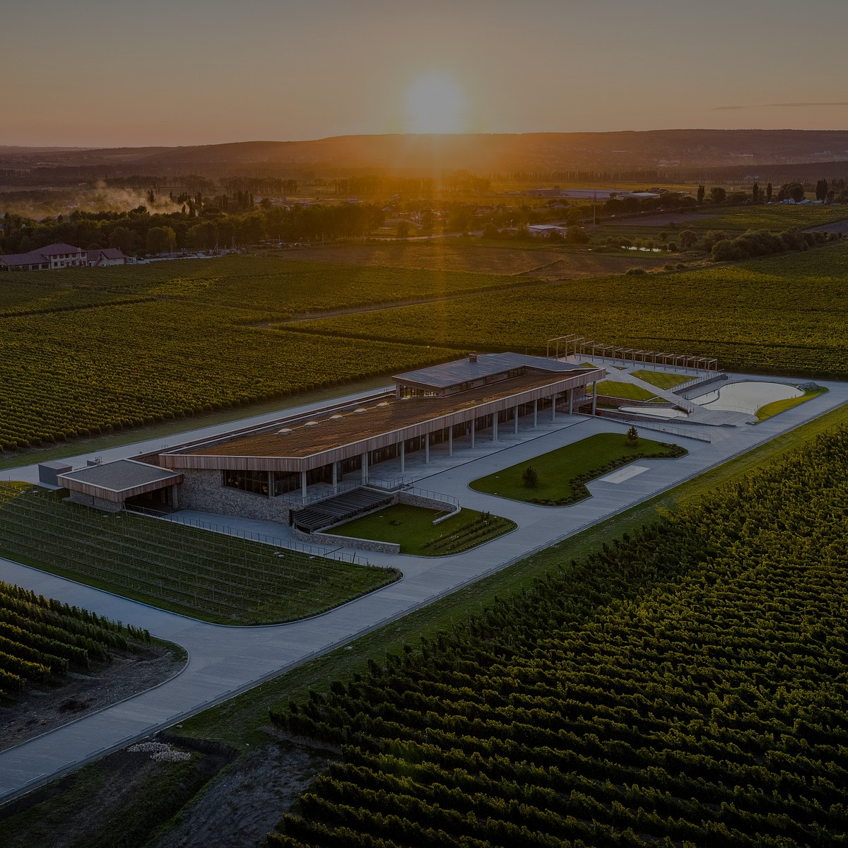 Винодельня Сикоры