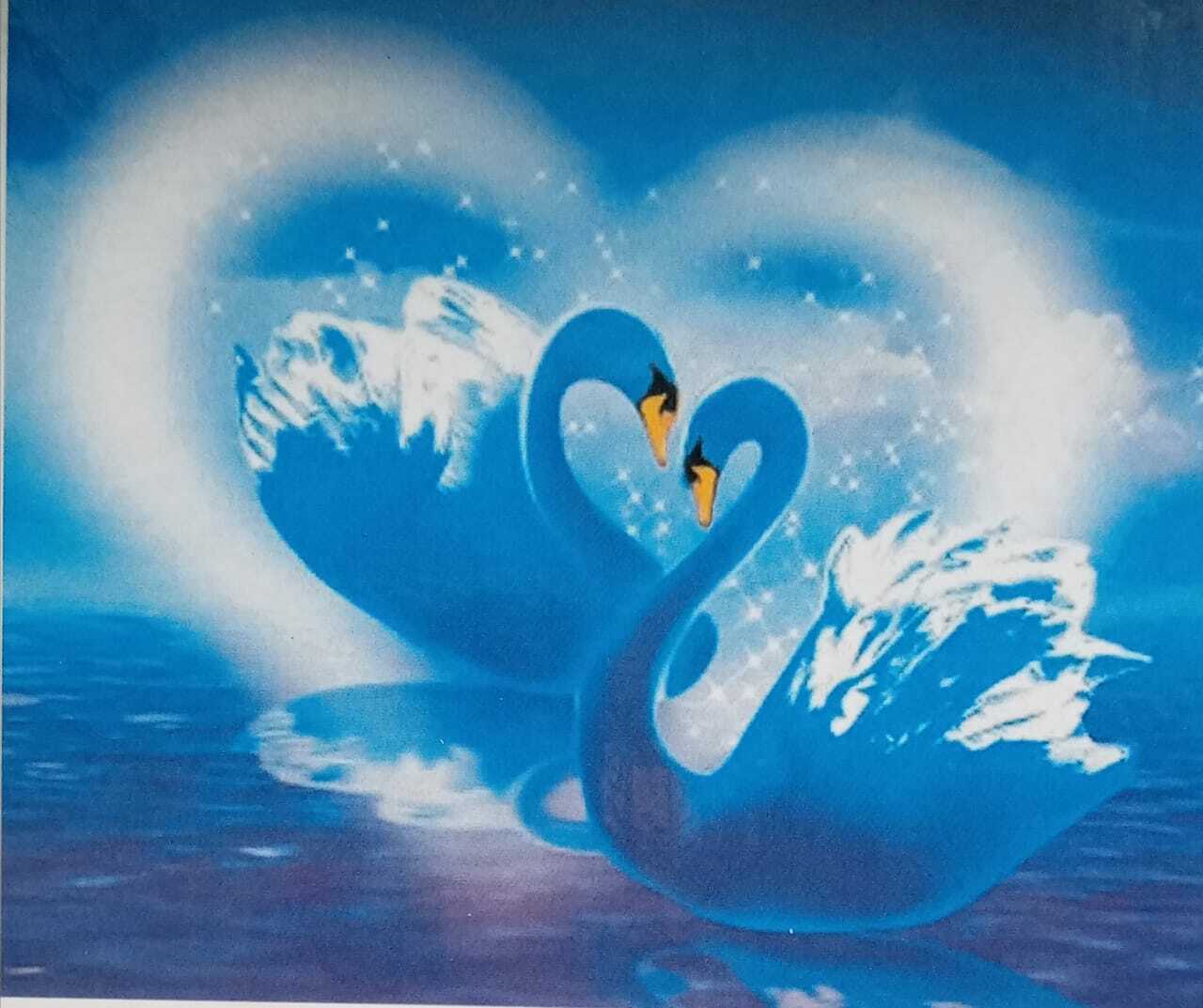 синие лебеди картинки