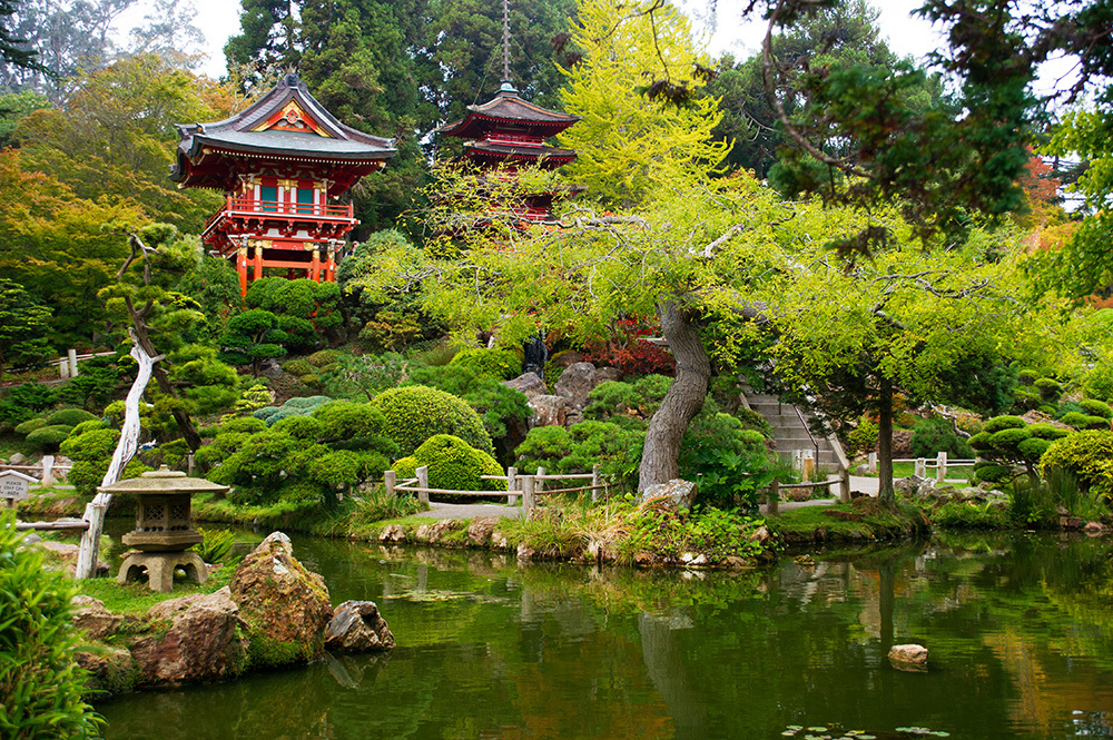 История возникновения «японского сада»