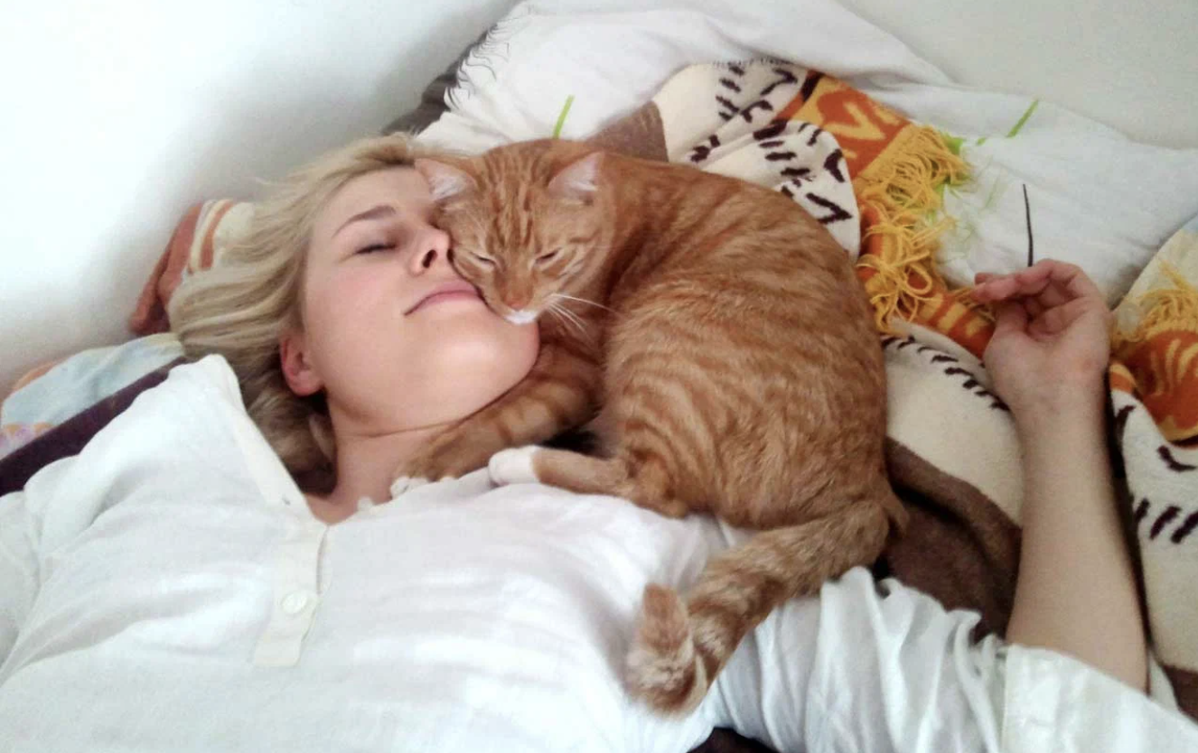 Кот ластится. Рыжий кот и хозяин. Кошечка ластится к человеку. Кошка и хозяин. Кот и хозяин.