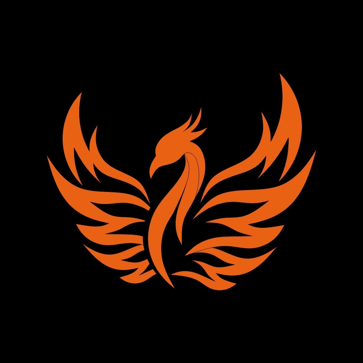 Сайт fenix