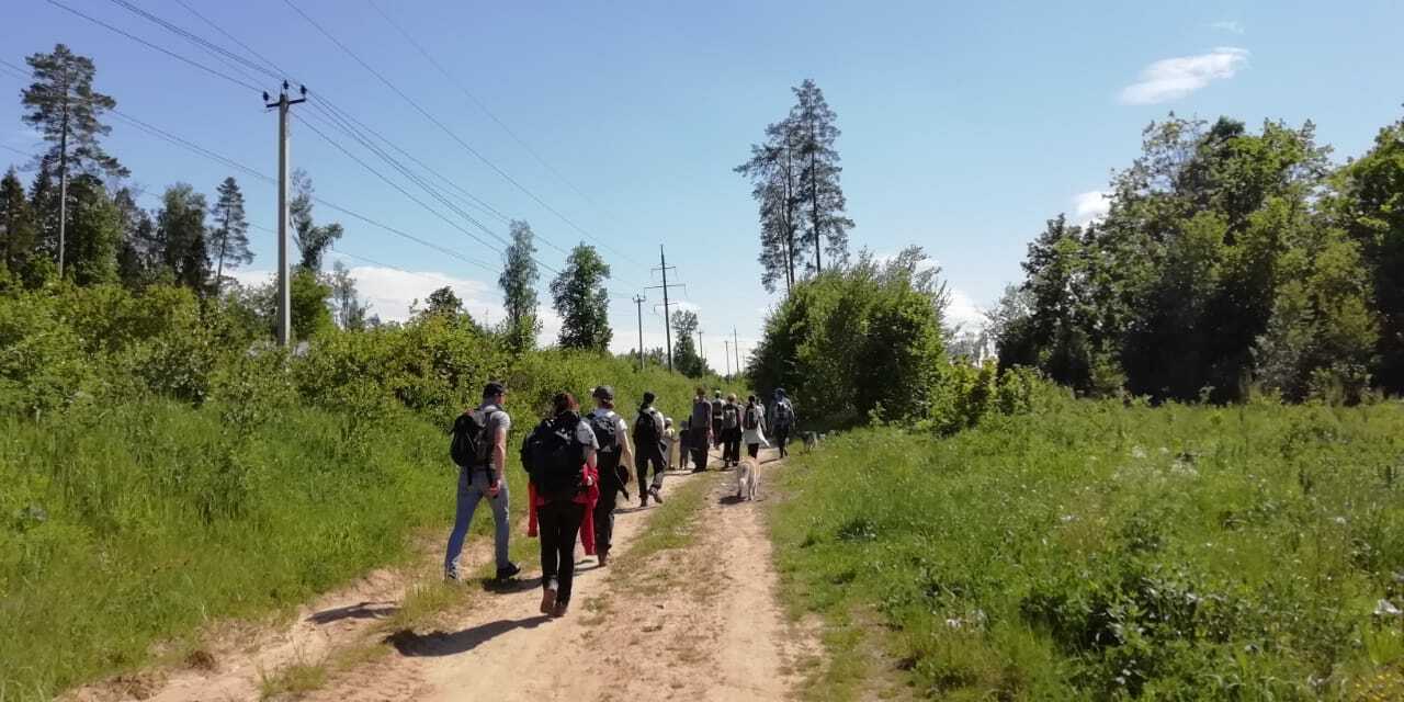 Экотуризм Зеленоград