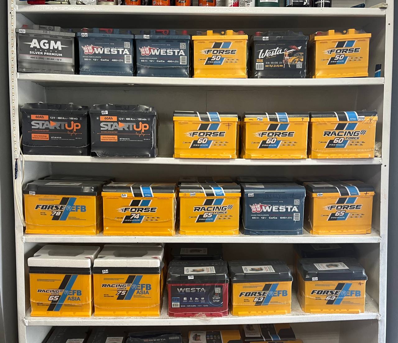 ассортимент аккумуляторов Westa Forse
