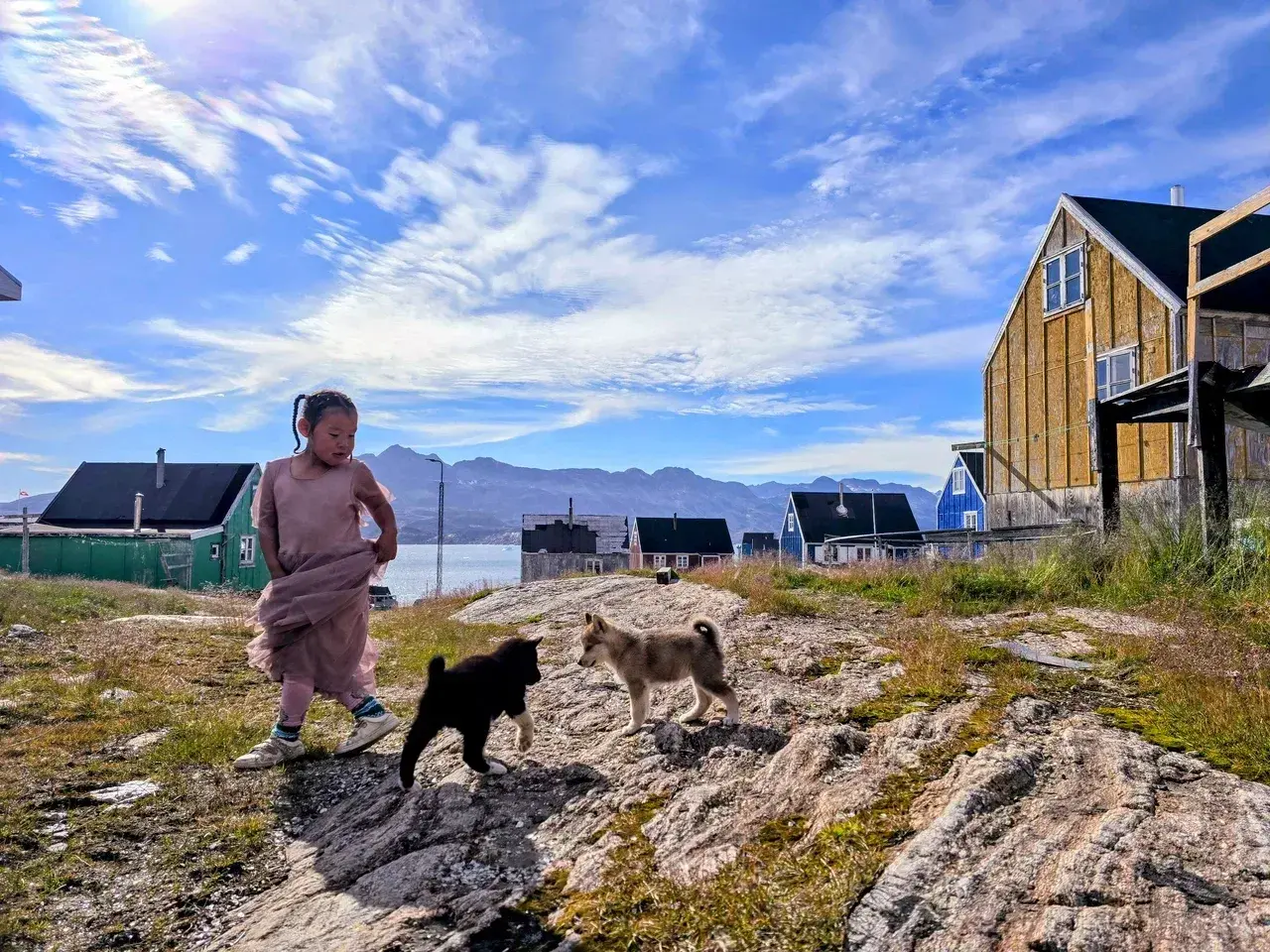 Local child and puppies in a Greenlandic settlement with colorful homes and stunning Arctic landscapes