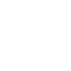 Портретная экспертиза