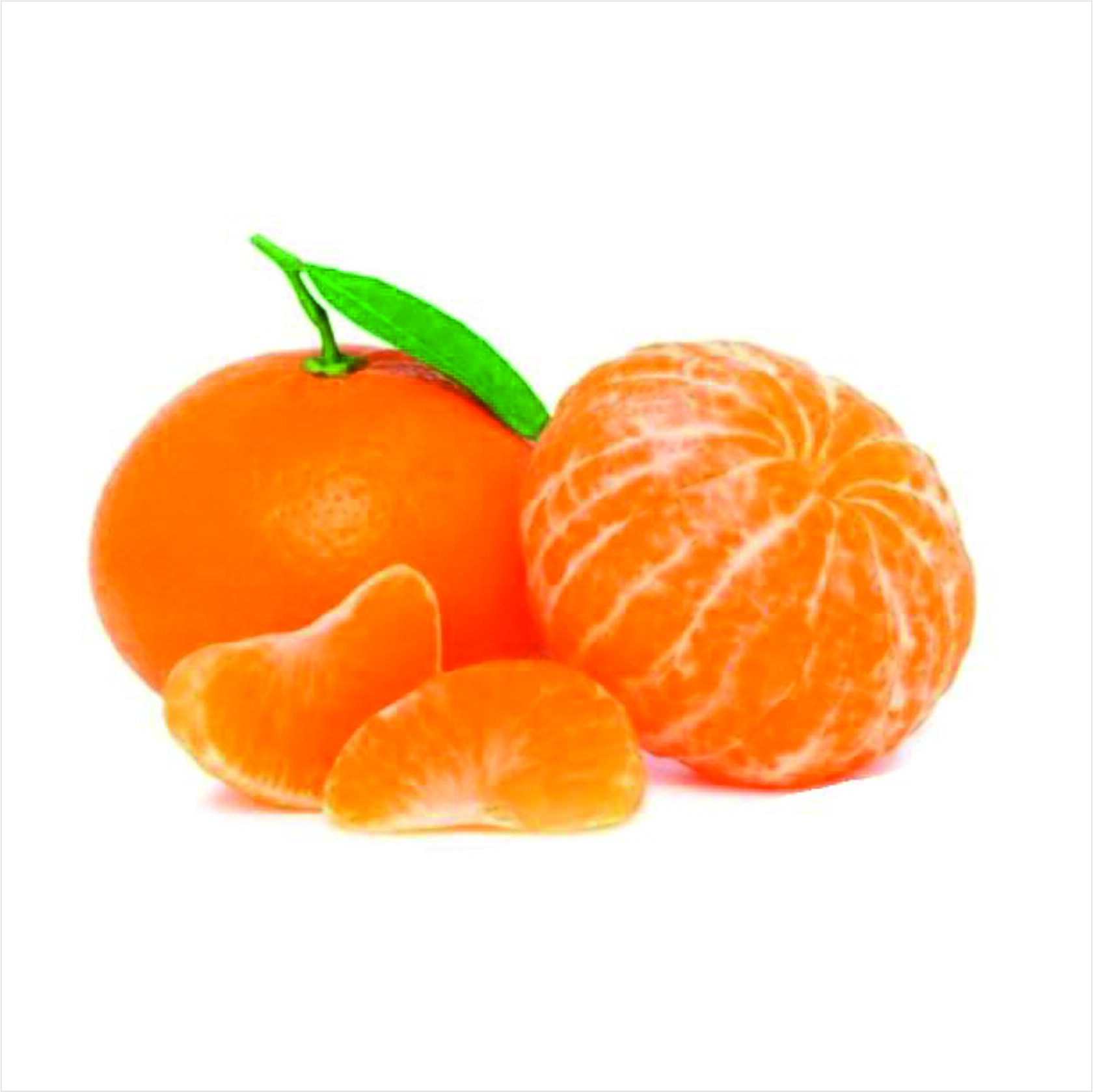 21 мандарин. Мандарин ПОНКАН. Танжерин фрукт. Цитрус мандарин 1. Мандарины Jaffa.