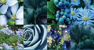 Проектривание систем автополива