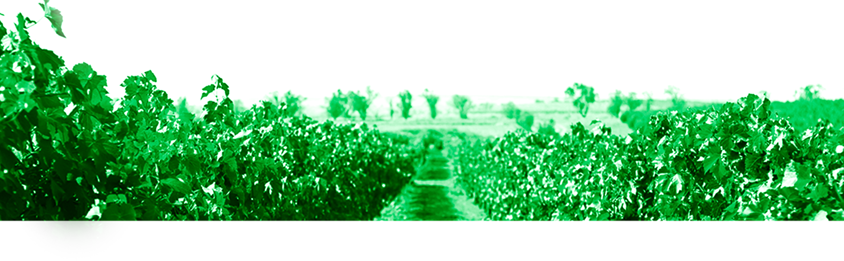 Винодельня Бурлюк