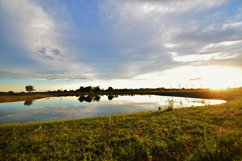 Погода село екатериновка